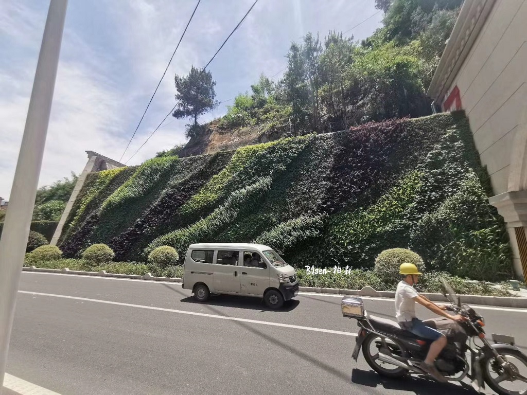 青田石郭岭隧道口